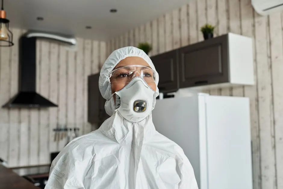 Benefits of Professional Mold Removal
